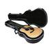 SKB - Akustische Dreadnought Deluxe Gitarrenkoffer