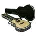 SKB - Hartschalen-Gitarrenkoffer - Thinline Akustik-Elektrisch/Klassisch