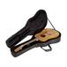 SKB - Soft Case - Akustische Dreadnought-Gitarre
