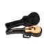 SKB - Soft Case - Taylor GS Mini Akustikgitarre